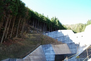 DSC_0026.jpg