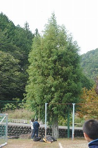 DSC_9058.jpg