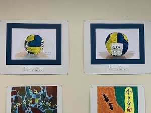 IMG-8554.jpg