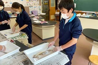 IMG_0549.jpg