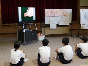 IMG_0662.jpg