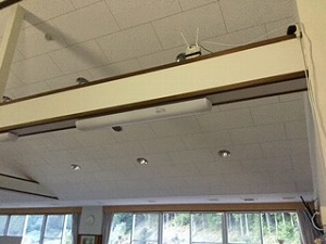 IMG_2088.jpg