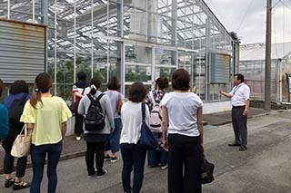 IMG_2459.jpeg