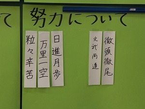 IMG_2549.jpg