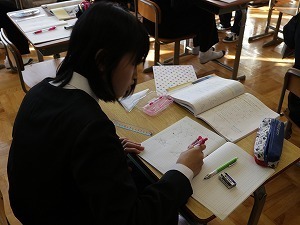 IMG_2898.jpg