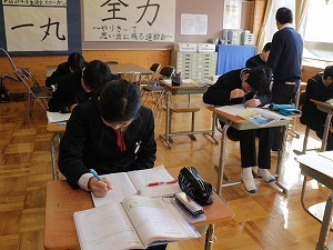 IMG_2901.jpg