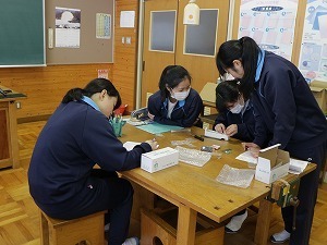 IMG_2981.jpg