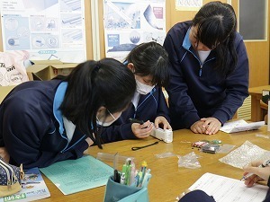 IMG_2983.jpg