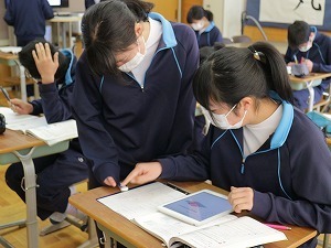 IMG_3121.jpg
