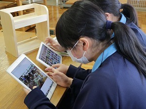 IMG_3681.jpg