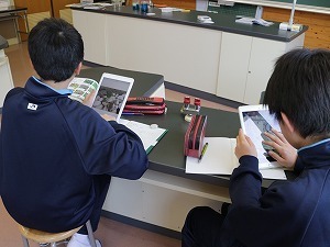 IMG_4141.jpg