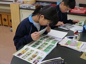 IMG_4146.jpg