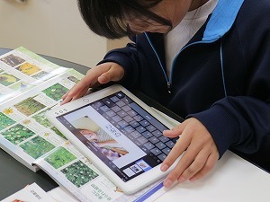IMG_4147.jpg