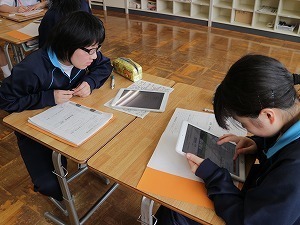IMG_4453.jpg