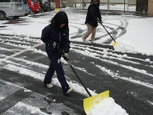 IMG_4571.jpg