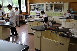 IMG_5681.jpg