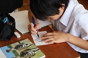 IMG_6487.jpg
