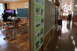IMG_6655.jpg