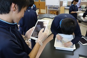 IMG_6673.jpg