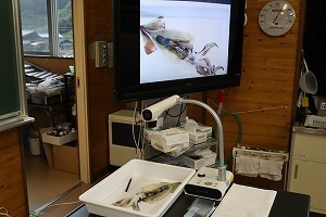 IMG_6679.jpg