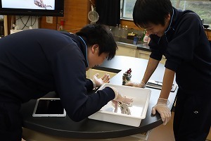 IMG_6682.jpg