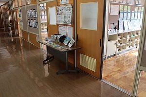 IMG_7810.jpg