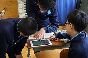 IMG_8075.jpg
