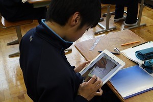 IMG_8080.jpg