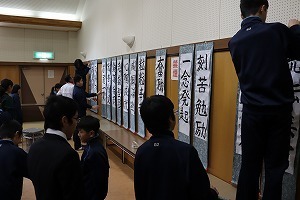 IMG_8489.jpg