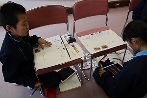 IMG_8503.jpg