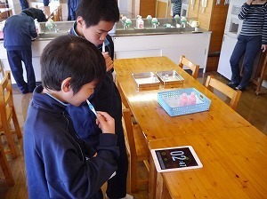 P1110886.jpg