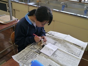 P1120537.jpg