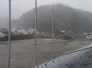P1130349.jpg