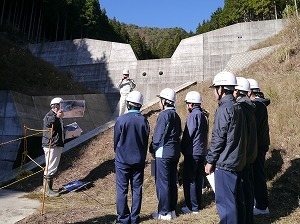 P1130541.jpg
