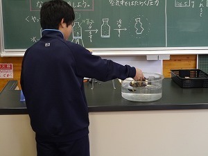 P1140146.jpg