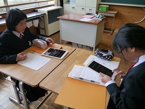 P1160105.jpg