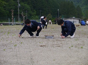 P1160736.jpg