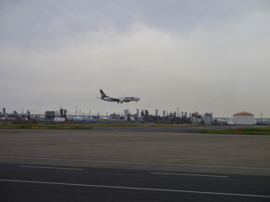 P1170189.jpg