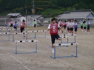 P1170393.jpg