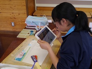 P1170425.jpg