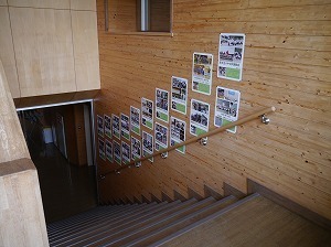 P1190806.jpg