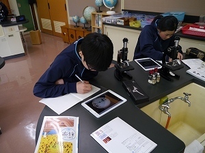 P1220429.jpg