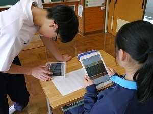 P1230554.jpg