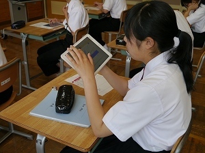 P1230557.jpg