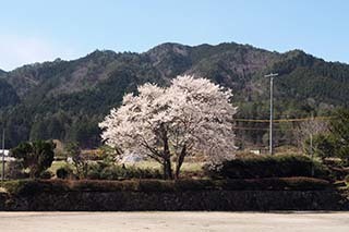 P4070164.jpg