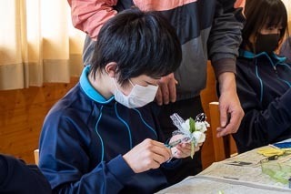 _2180093.jpg