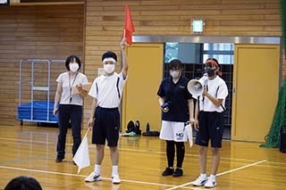 _9070238.jpg