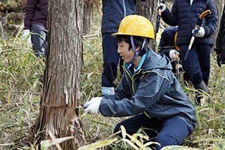 _B060040.jpg