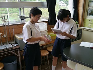 s-P1100169.jpg