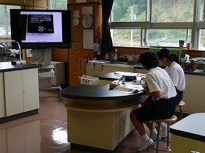 s-P1100183.jpg
